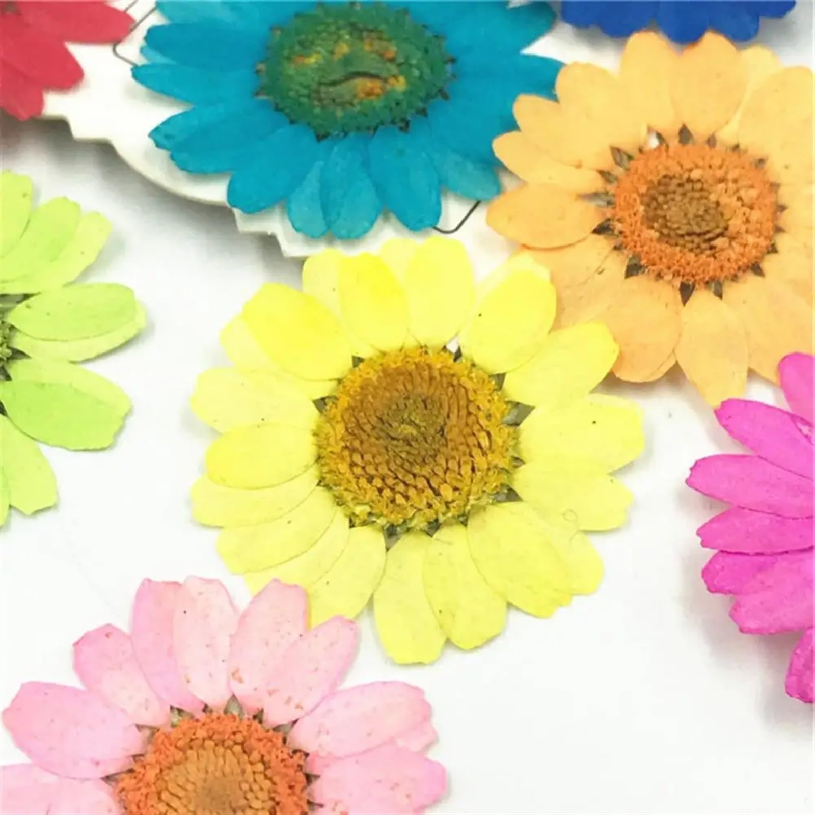 Fiori secchi pressati, Fiori pressati secchi resina epossidica fai da te 36 pezzi fiori naturali pressati secchi decorazione del telefono artigianale for unghie petali secchi naturali(Yellow)