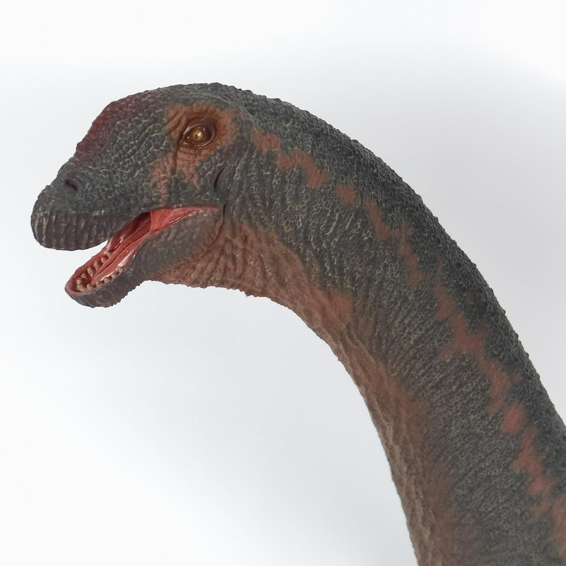 Amazon.co.jp: XINPANYIAN HAOLONGGOOD アルゼンチノサウルス ワヤンゴ