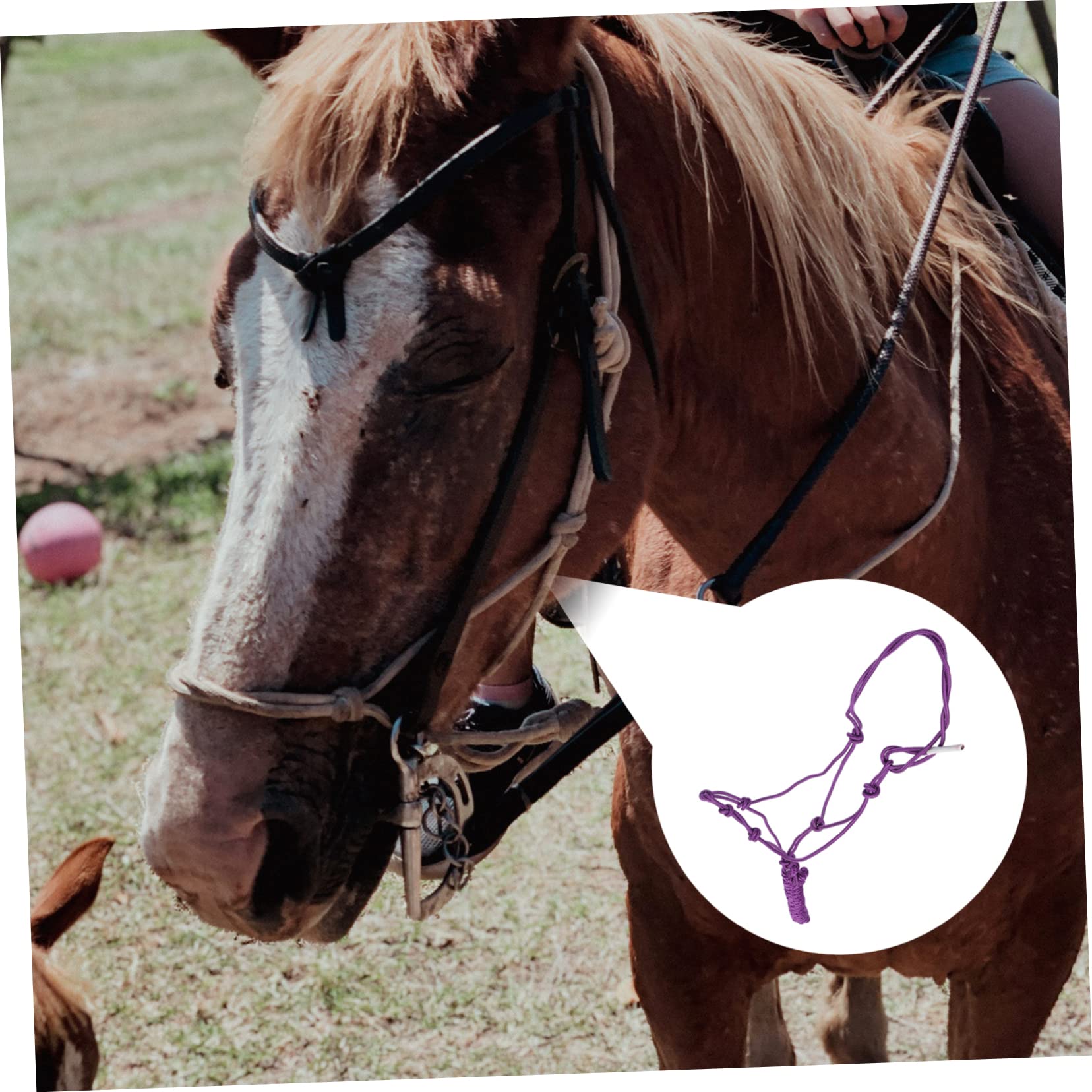 Cabezada De Cuerda Resistente para Caballos Accesorio Profesional De Entrenamiento Duradera y Cómoda Adecuada para Montar y Control Equino