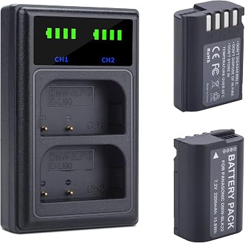 2400mAh DMW-BLK22 Battery, 2 Packs, Compatible for Panasonic Lumix DC-S5 II DC-S5 IIX GH5 II GH6 S5II S5M2 GH5M2 Cameras Battery Charger Set with Dual Slot USB Charger, Camera Batteria New