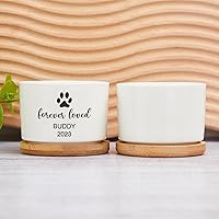 Vista 2 de Maceta de regalo conmemorativa personalizada para gatos, maceta de cerámica blanca con nombre, fecha y huella de pata, recuerdo de mascotas siempre