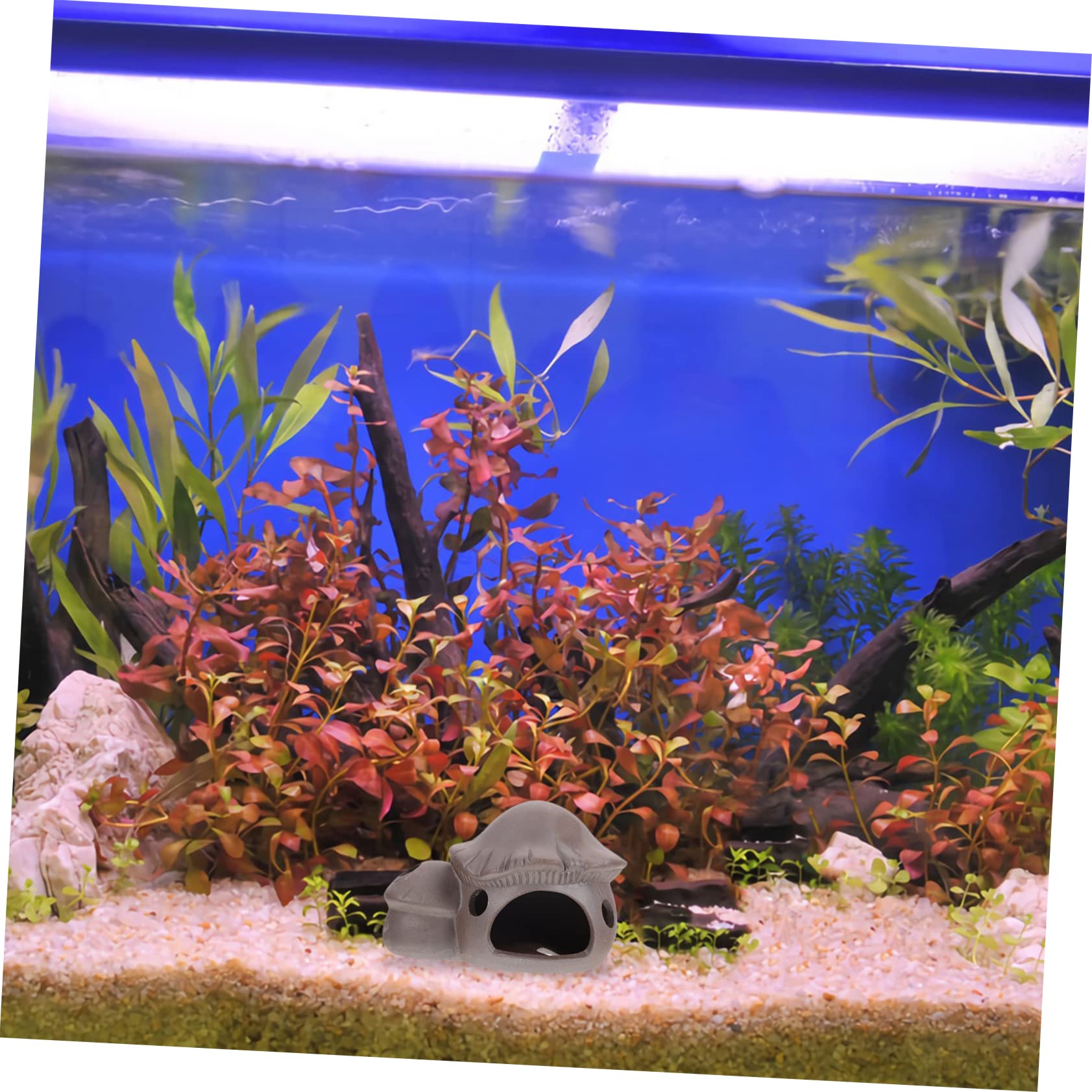 FRCOLOR Lot de 3 Mini Pots en Argile pour Aquarium - Cachette pour Poissons - Cachette pour crevettes - Cachette pour Perroquet - Argile Violette