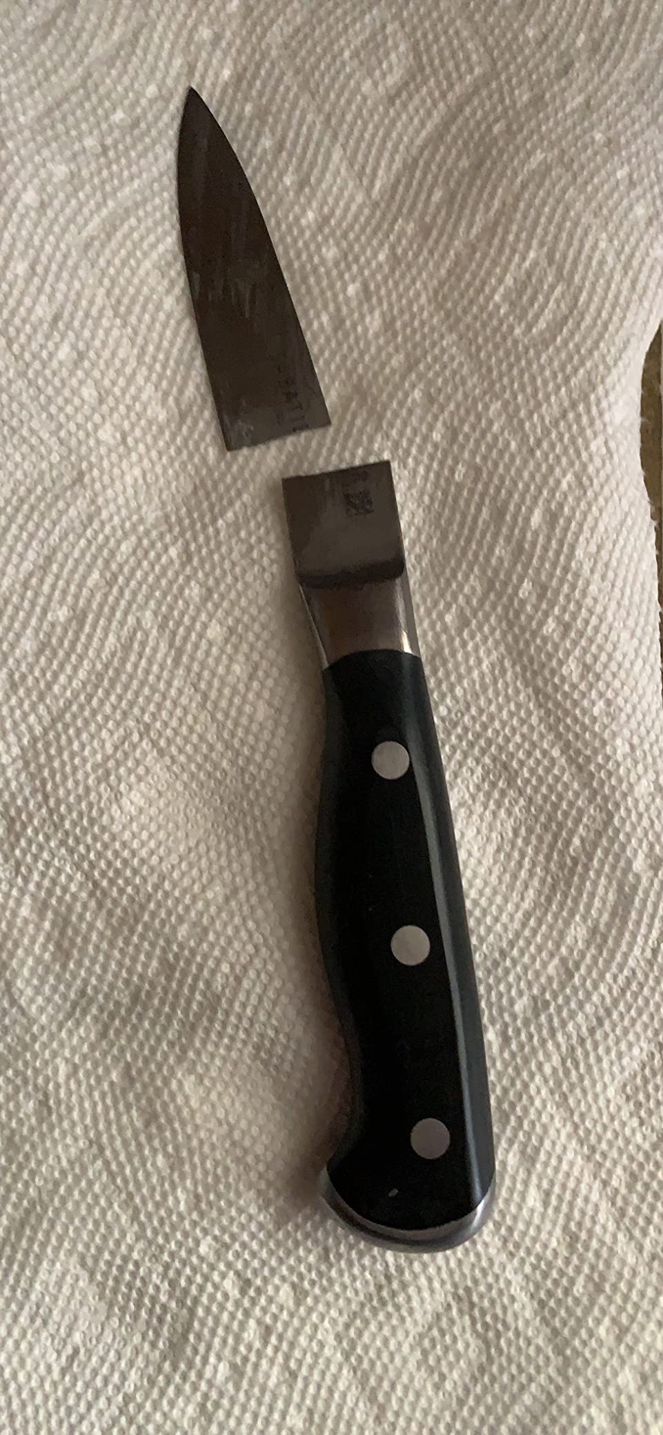 14/mo Finance Sabatier SelfSharpening 12piece Triple Rivet Knife Block Set with