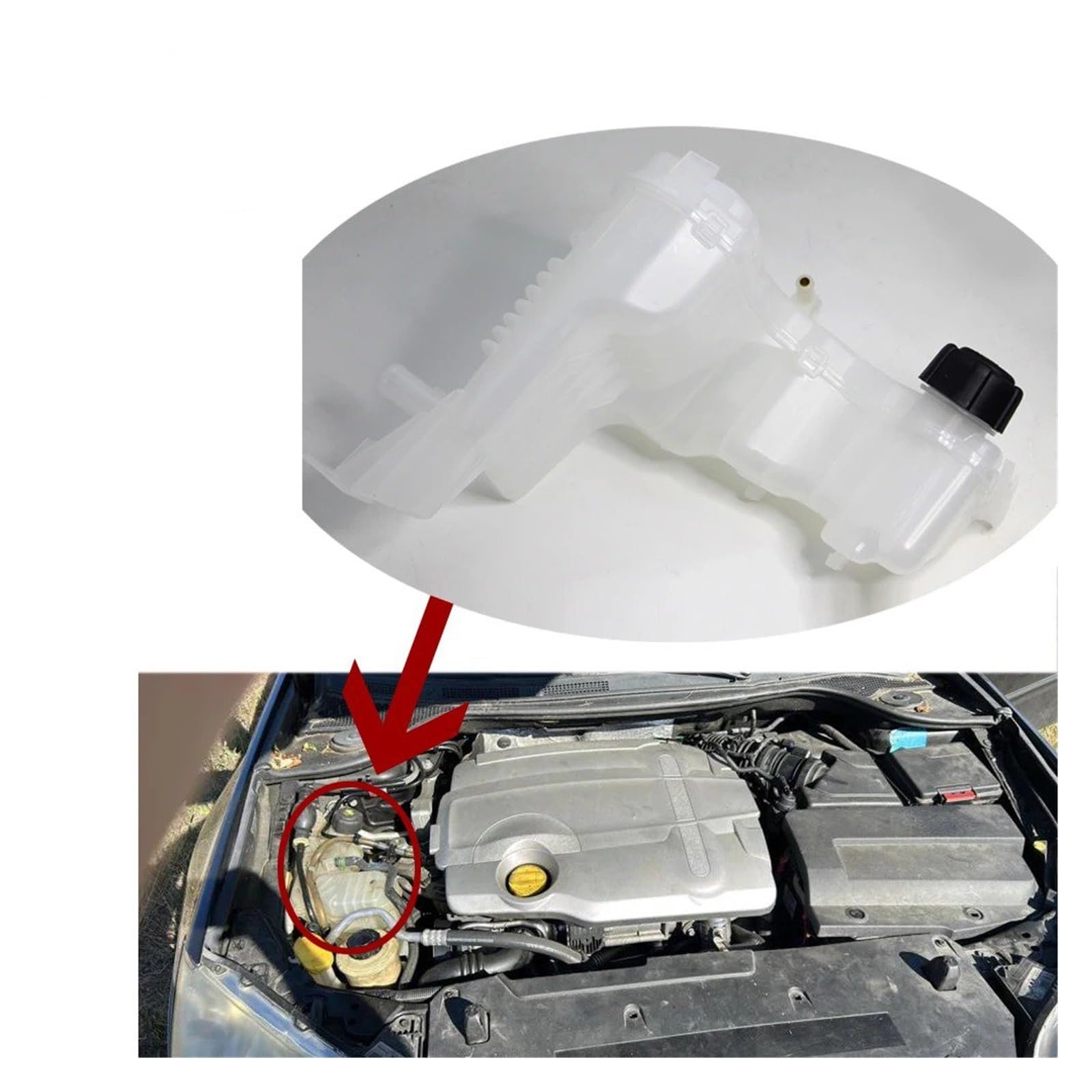 para Latitude 2010 2011 2012 2013 2014 2015 217100001R Tanque de expansión de refrigerante del radiador del Motor Depósito de refrigerante