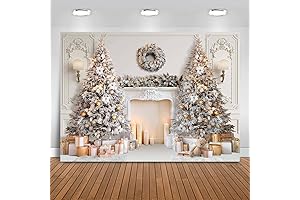 Mocsicka Victorian Christmas Backdrop