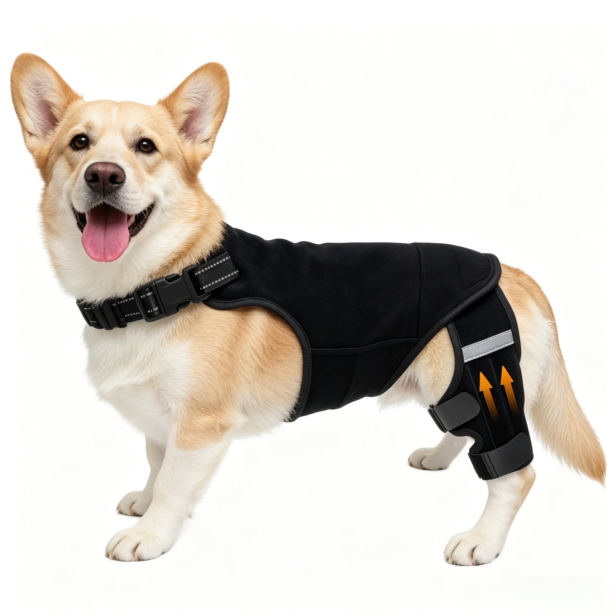 ALYBIT Dog Knee Brace
