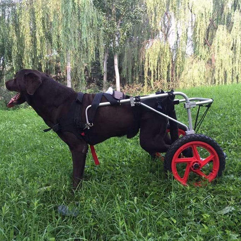 Buy Dog Wheelchair, Hind Legs Rehabilitation Disabled Dog Assisted Walk