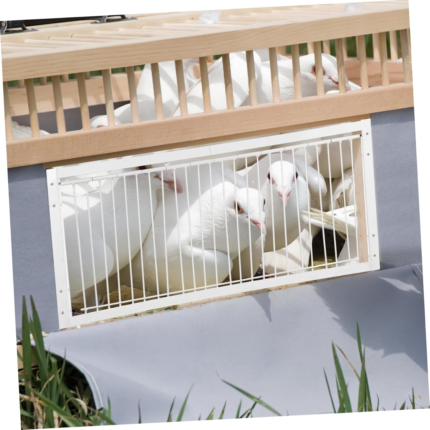 VANZACK Stainless Steel Pigeon Trap Door Racing Pigeons Entrance Door Trap Pigeon Birdcage Entrance Trap
