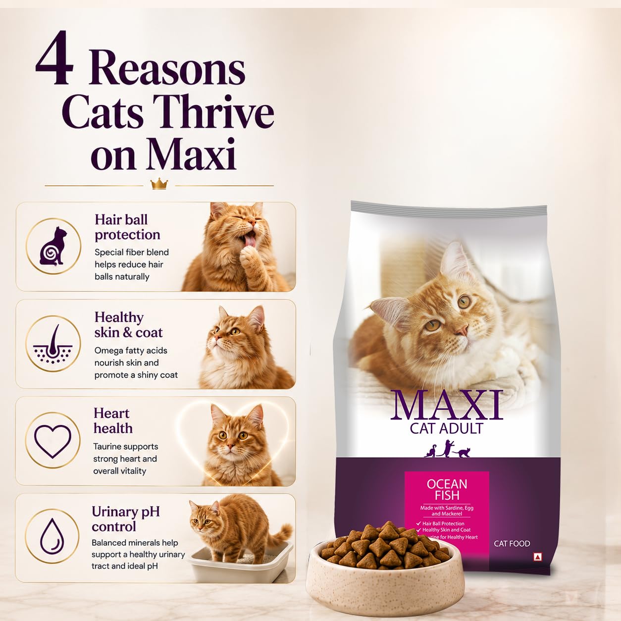 Maxi Ocean Fish Dry Cat Food 1.2kg, Adult 2