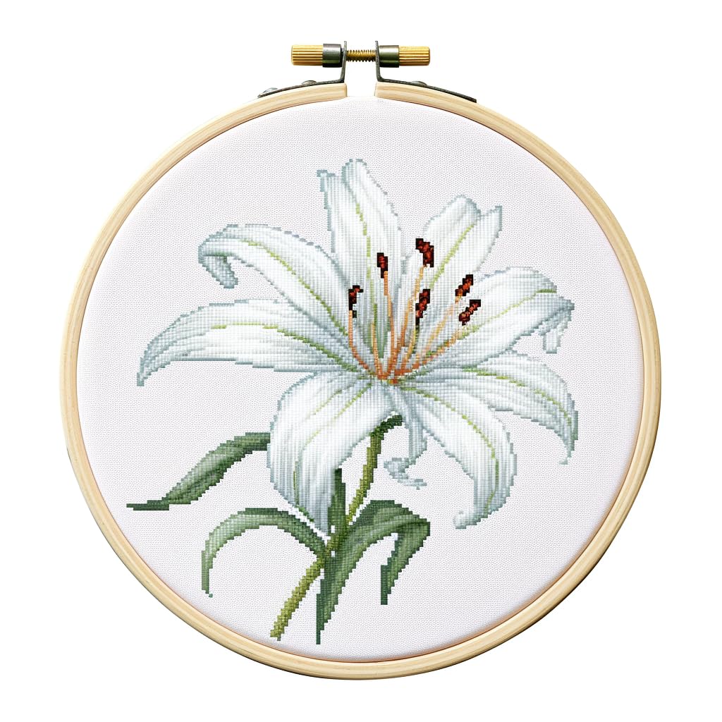 Generic Cartoon White Lily Flower DIY Stamped Cross Stitch Kits Easy for Beginners and Children with Hoop 11CT Needlepoint Counted Embroidery Kits Art Craft Wall Decoration 12x12inch(1)