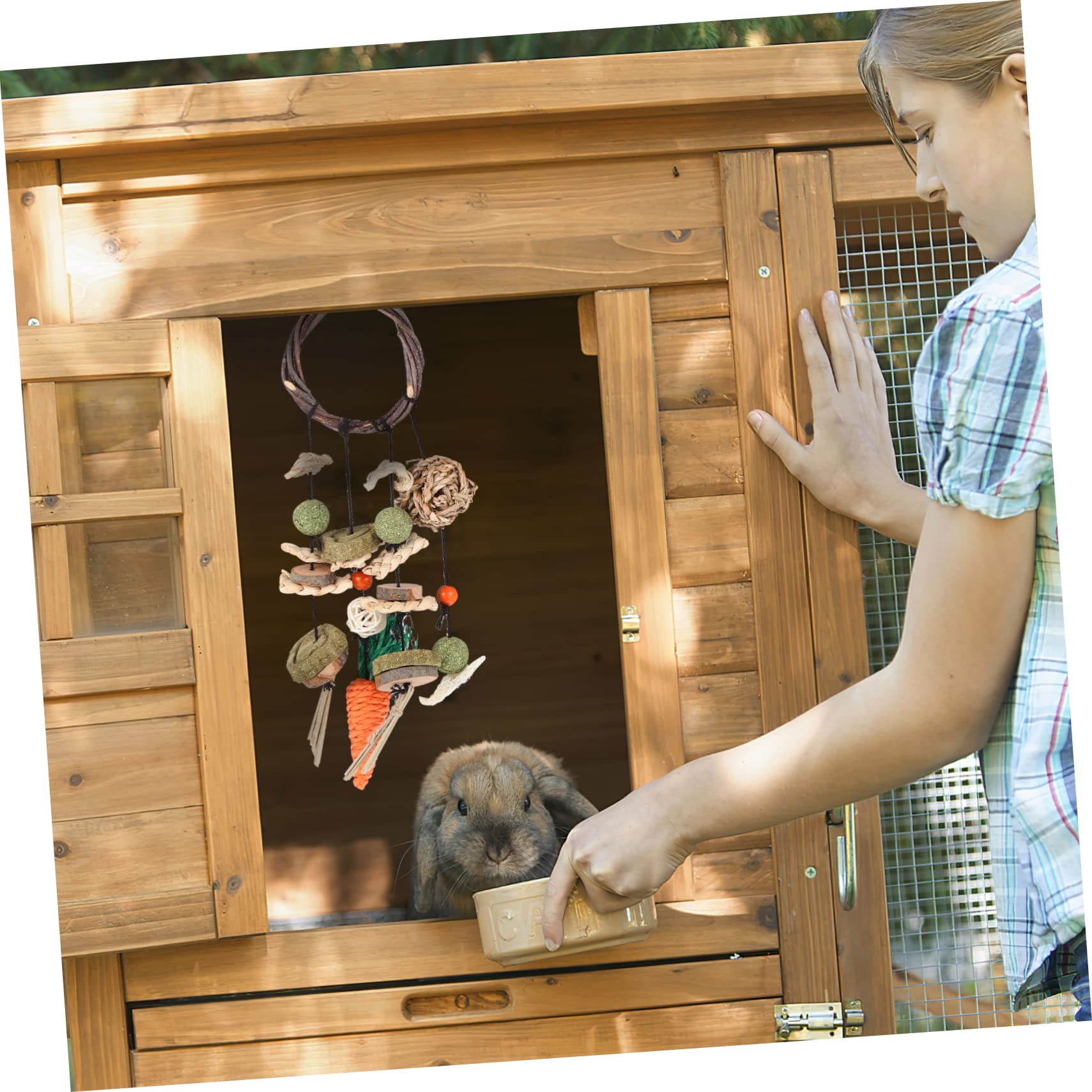 INOOMP 2sets Giochi Per Conigli Con Giocattoli Da Masticare e Palline Accessori Per Piccoli Animali Giocattoli Appendibili Per Ratti e Criceti Facili Da Installare Decorazioni Per Gabbie