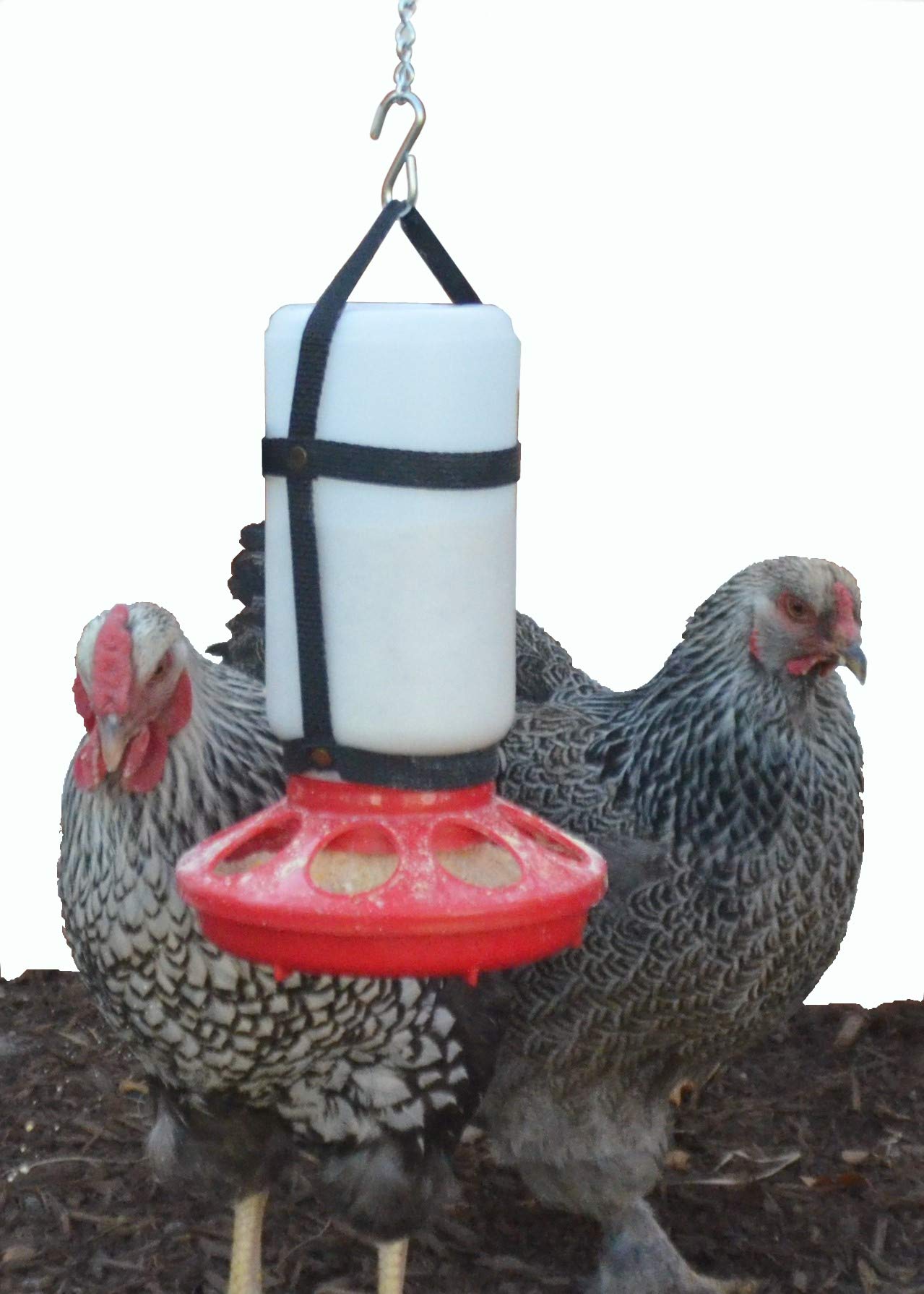 1 Qt. Hanging Harness with Plastic Bottle and Feeder Base