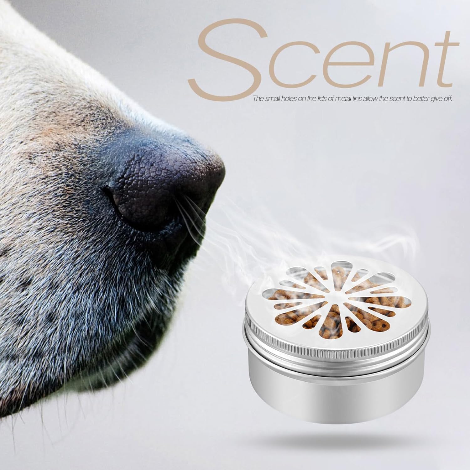 Mipcase Dog Scent Training Tins Set with Magnetic Dots 2.68 Inch Metal Containers for Pet Nose Work and Scent Games Odor Training Supplies