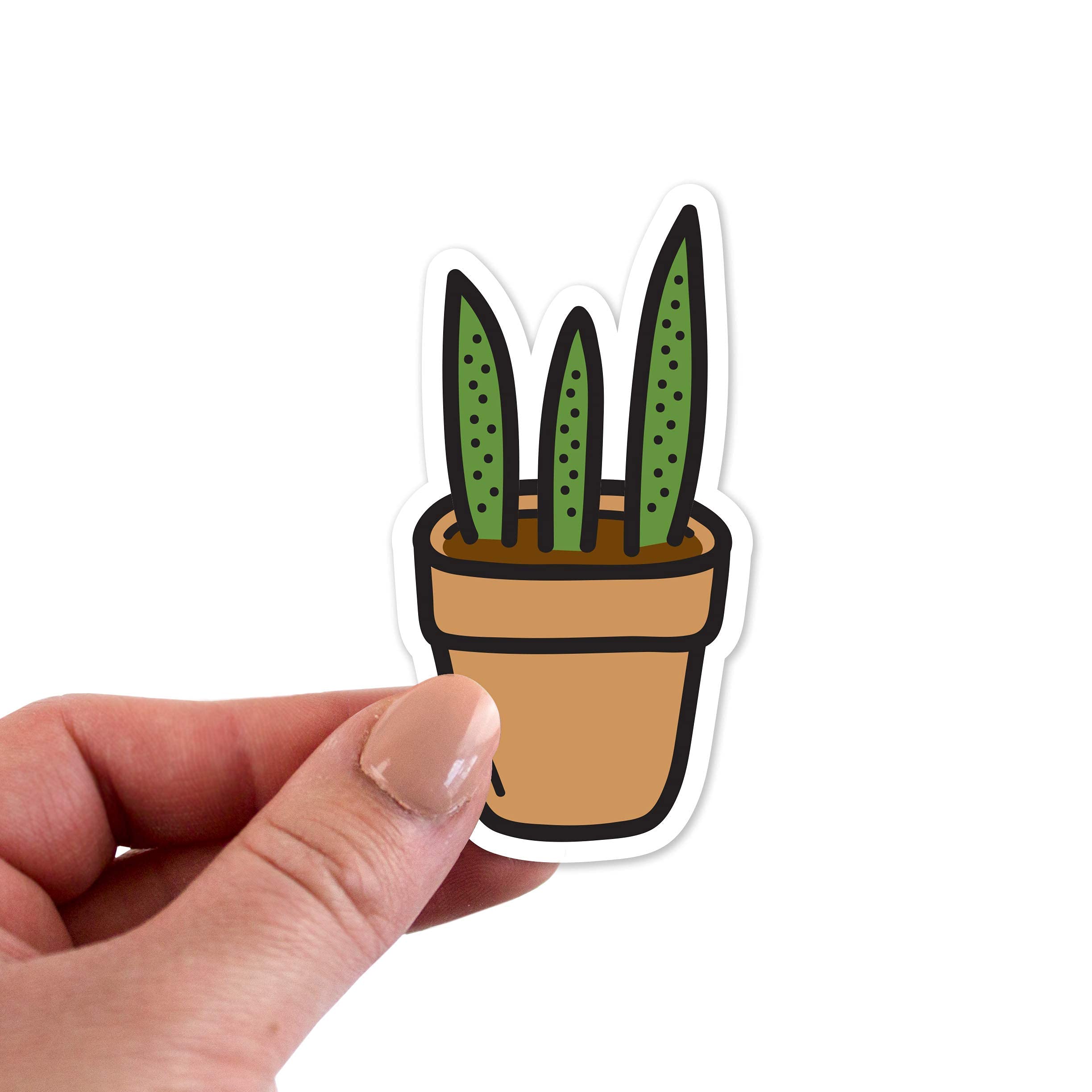 Amazon.com: Plant Stickers, Plant Sticker, Plant Laptop Sticker, Plant  Vinyl Stickers, Plant Die Cut Sticker, Plant Decal, Plant Decals, Aloe Vera  Sticker : Arts, Crafts & Sewing