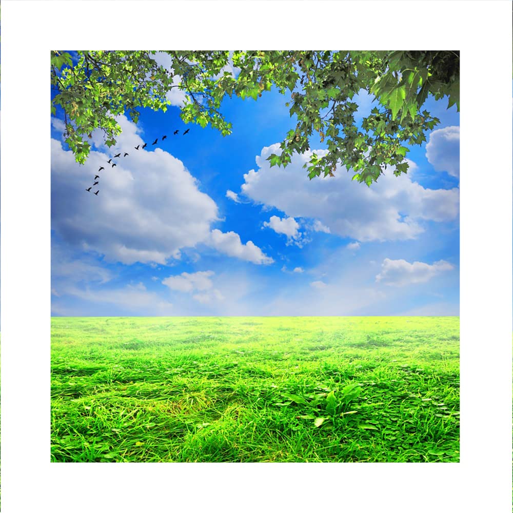 Sfondo Foto Cielo Con Nuvole - 1.5x1m Vinile, Per Feste Bambini E Ritratti - Foto 5