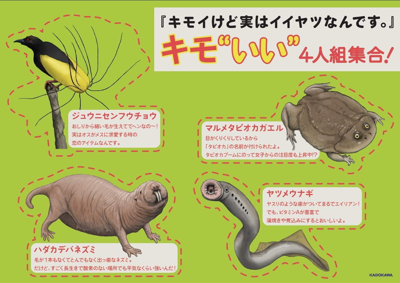 キモイけど実はイイヤツなんです 怖いのに何だかかわいく思えてきちゃう生きもの図鑑 ろう 實吉 達郎 川崎 悟司 バニえもん 配送料無料