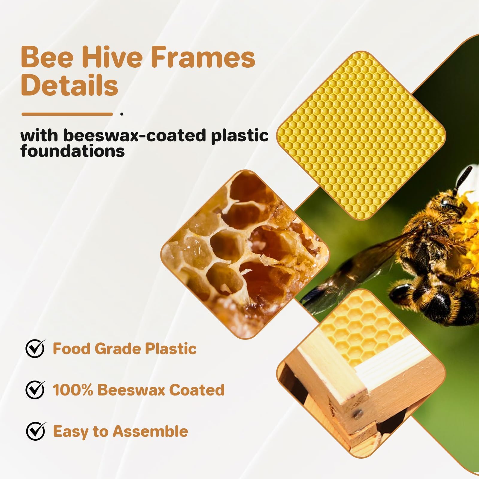 Langstroth Bienenstock Starter Set, 10 Rähmchen, 2 Tiefe Bruträume & 1 mittlerer Honigraum aus Robuster Tanne mit Großem Sichtfenster, 100% Bienenwachs-Beschichtete Rahmen & Foundation