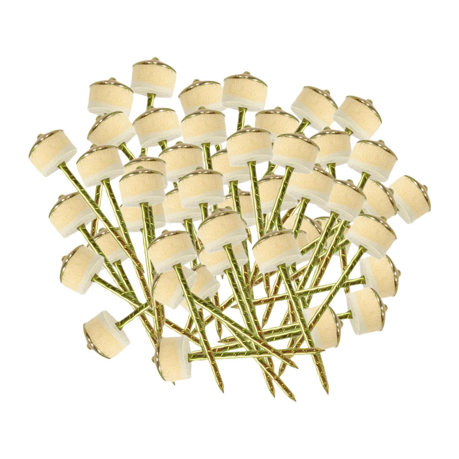 Qianly 50x Concrete Wall Nails, Masonry Nails, Professional, Hardware Nails Cement Nails, Total length 7.6cm