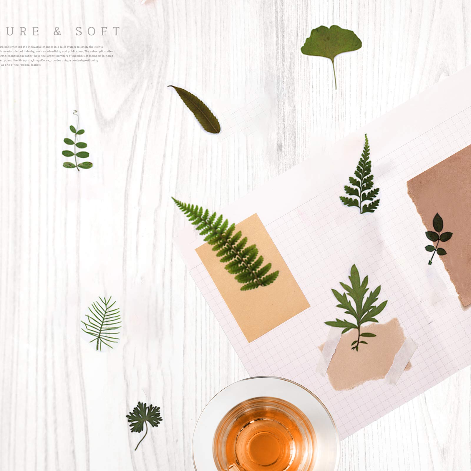 84 Hojas secas prensadas de Plantas de herbario pétalos Mezclados Hojas secas Naturales Reales para Manualidades de Resina DIY Pegatinas de uñas Adornos Decoraciones (A)