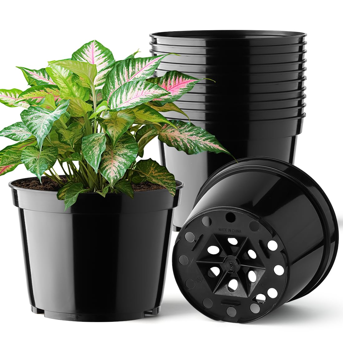 8-Quart Digital Air Fryer
