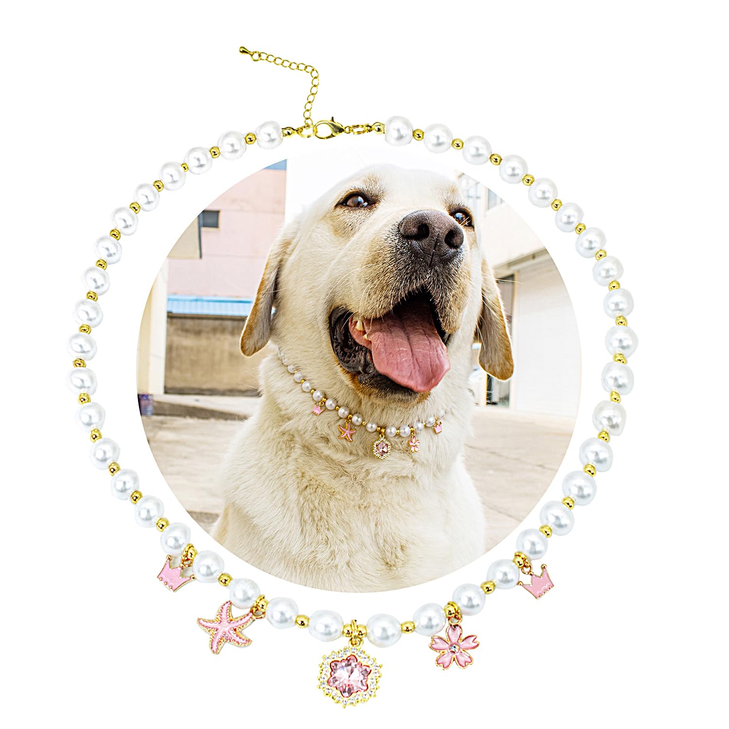 SM4BED Dog Collar Pearl Necklace, White Beads with Shiny Rhinestone Diamond Pendant and Flower Golden Beads, Adjustable Pet Jewelry for Large Dogs, XXL 20.5IN