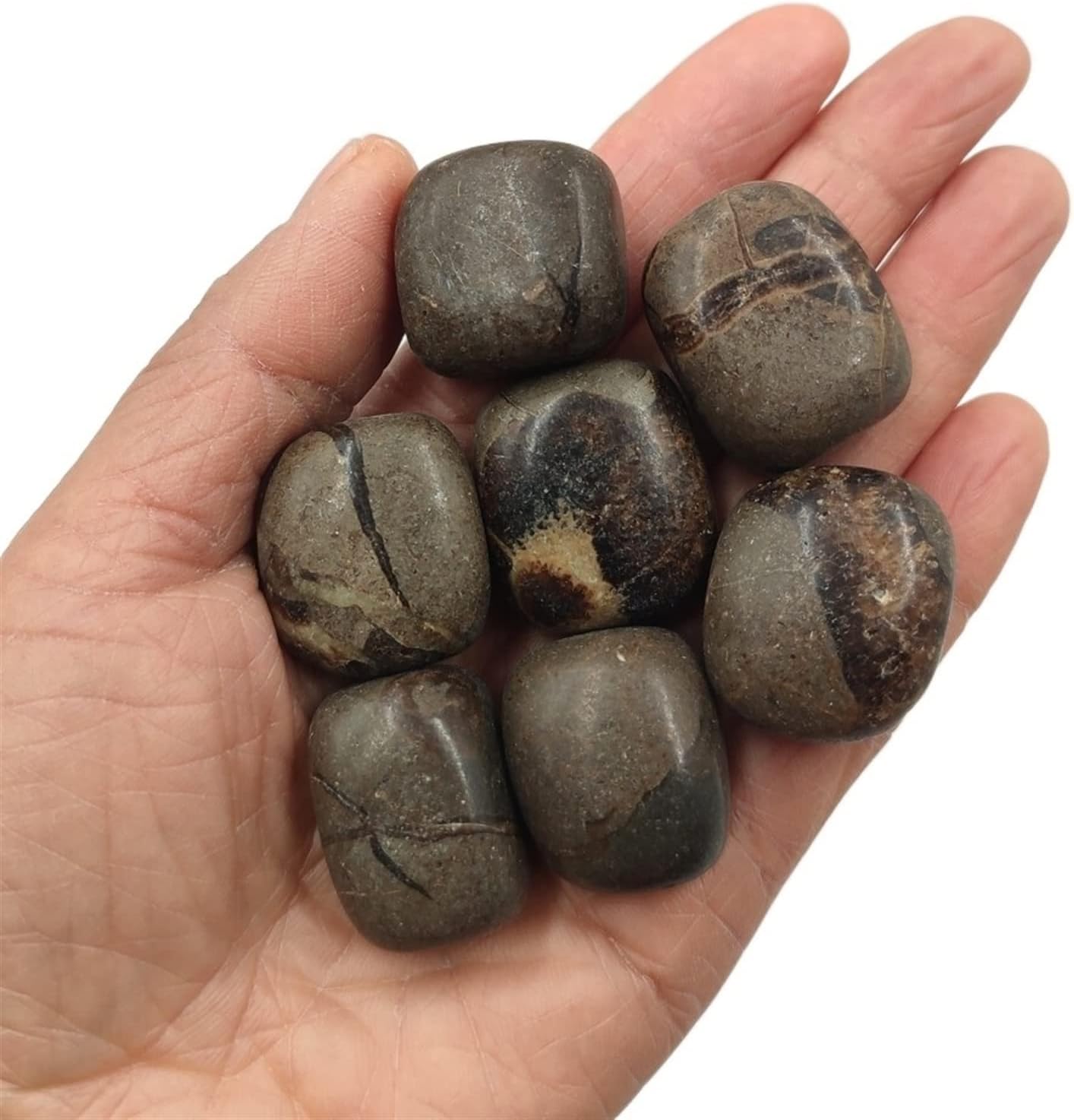 1pc Natural Dragon Septarian Tumbled Stones Crystal Polished Gemstone Specimen Home Room Decoration Gift