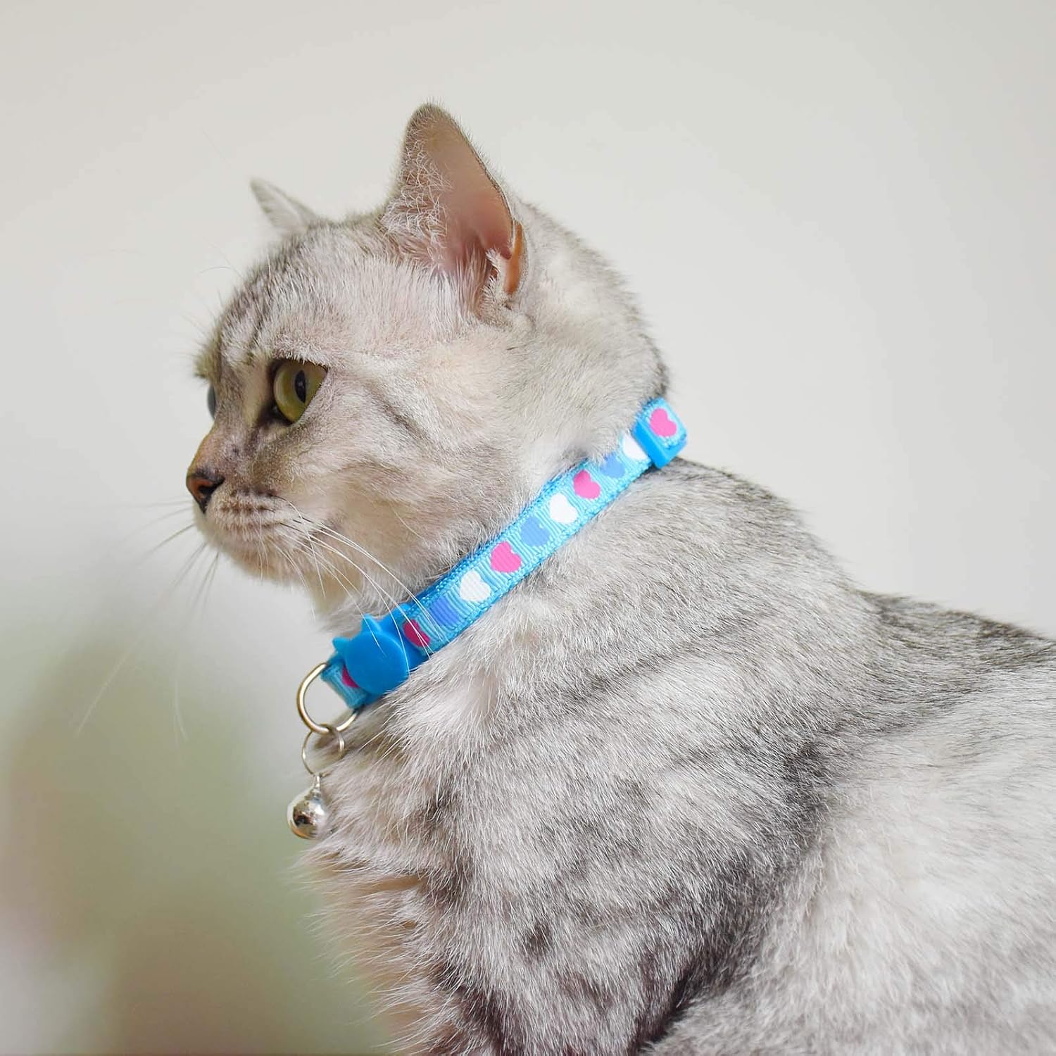 XPangle 6 Pcs Breakaway Cat Collar with Bell, Nylon Kitty Collars Mixed Colors Kitten Collars 7.5-12in (Love)