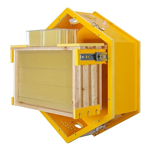 Observation Beehive Starter Kit with 3 Frames & 6 Honeycomb