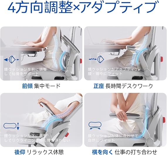 SIHOO B300-PRO Office Chair, Desk Chair, 6D Armrest Linked to Reclining, Multi-Directional Lumbar Support Up, Backward, Backward, 5 Levels of Elevation Adjustment, Independent Ottoman, Breathable