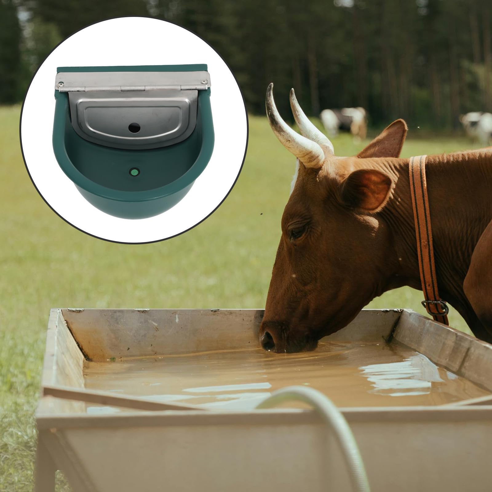 Ciotola Automatica per Acqua per Bovini e Cani da Fattoria Verde
