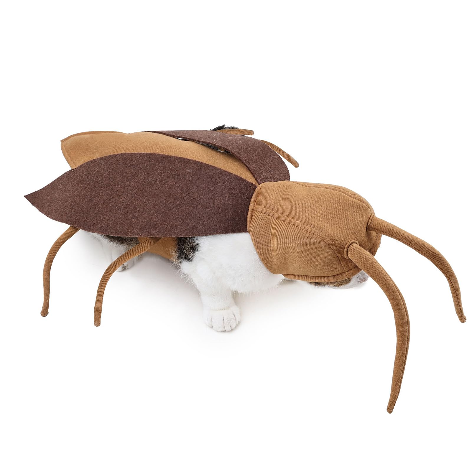Disfraz de insecto ropa para mascotas para cosplay de halloween entrañable