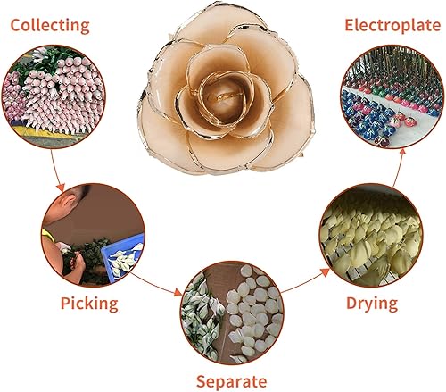 Miniatura 2 de Rosa blanca sumergida en oro de 24 quilates, tallo largo, flor preservada para siempre, regalo para ella, mamá, esposa en el día de San Valentín,