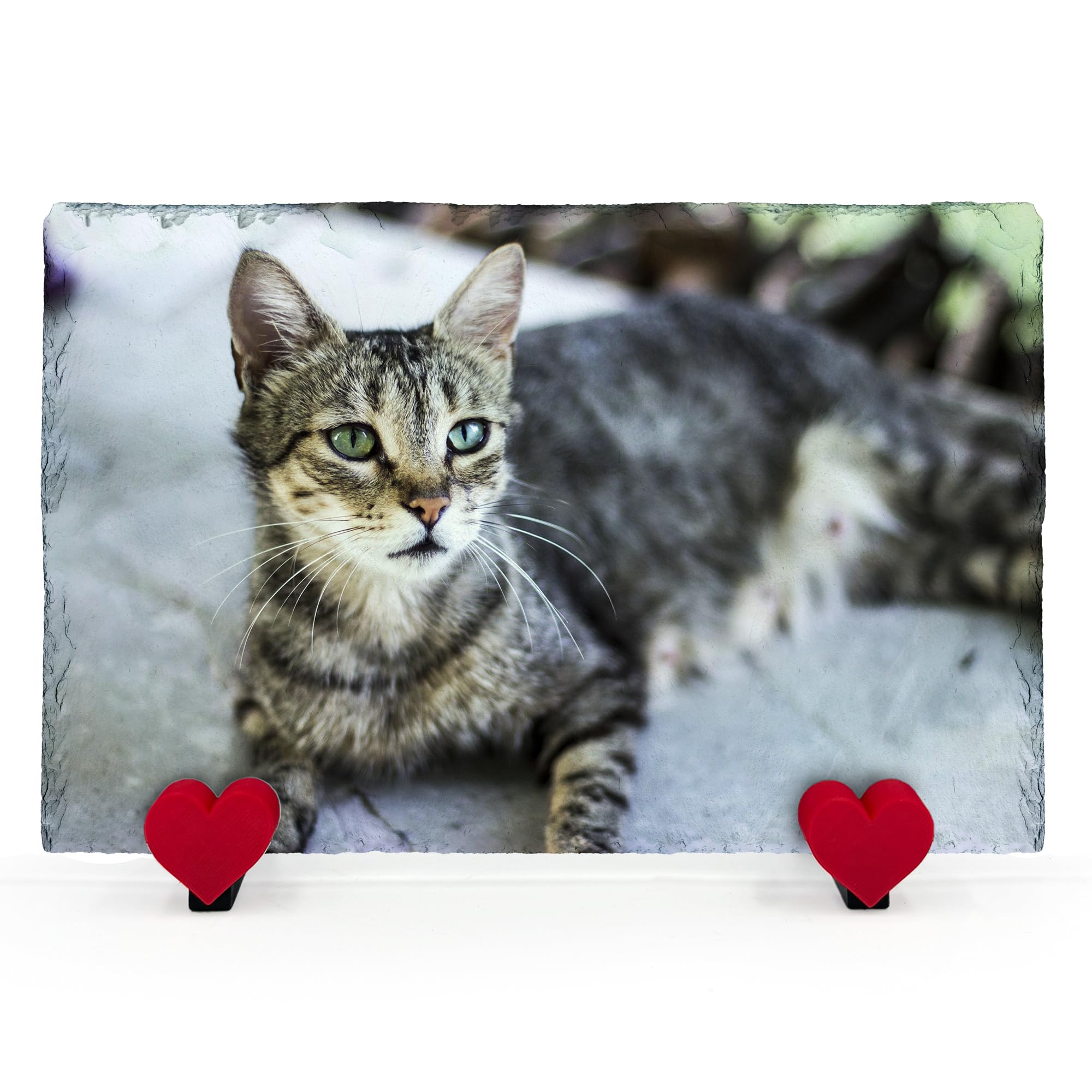 TULLUN Personalised Memorial Plaque For Pet Cat Dog Slate Natural Stone Frame Paw Grave Marker with Heart Display Stands - Full Print - Rectangle Horizontal | 7.8" x 11.8" or 20 x 30 cm |