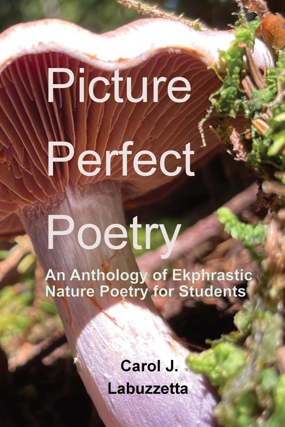Picture Perfect Poetry: An Anthology of Ekphrastic Nature Poetry for Students