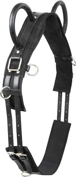 Imperial Riding Voltigiergurt IRH Vidal, Longier- und Voltigiergurt mit Zwei Griffen, Schwarz, Full - 1
