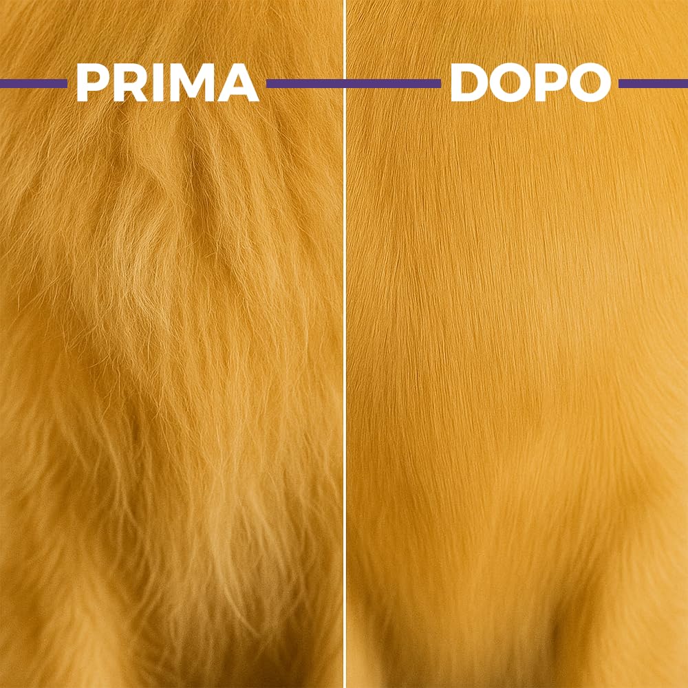 Aspirapolvere per Cani con Spazzola – Dispositivo di Toelettatura e Rimozione Peli 2 in 1, Silenzioso e Potente – Aspirazione Peli Animali Domestici per Casa, Divano e Auto, con Accessori Inclusi