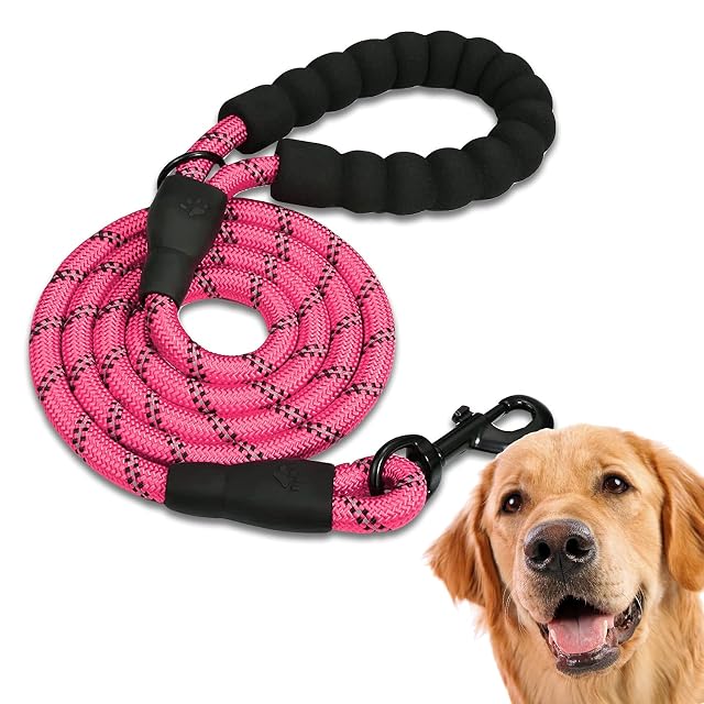 Edipets, Correa Perro, Correas para Perros, para Cachorro, Pequeños, Medianos y Grandes, 1,2 m, 1,5 m, 2,2 m