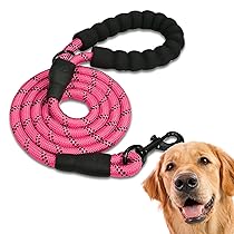 Edipets, Guinzaglio per Cani, Impugnatura Imbottita, Riflettente, Guinzaglio Addestramento per Cani, per Cuccioli, Piccoli, Medi e Grandi, 120 cm, 150 cm, 220 cm (2.2 m, Rosa)