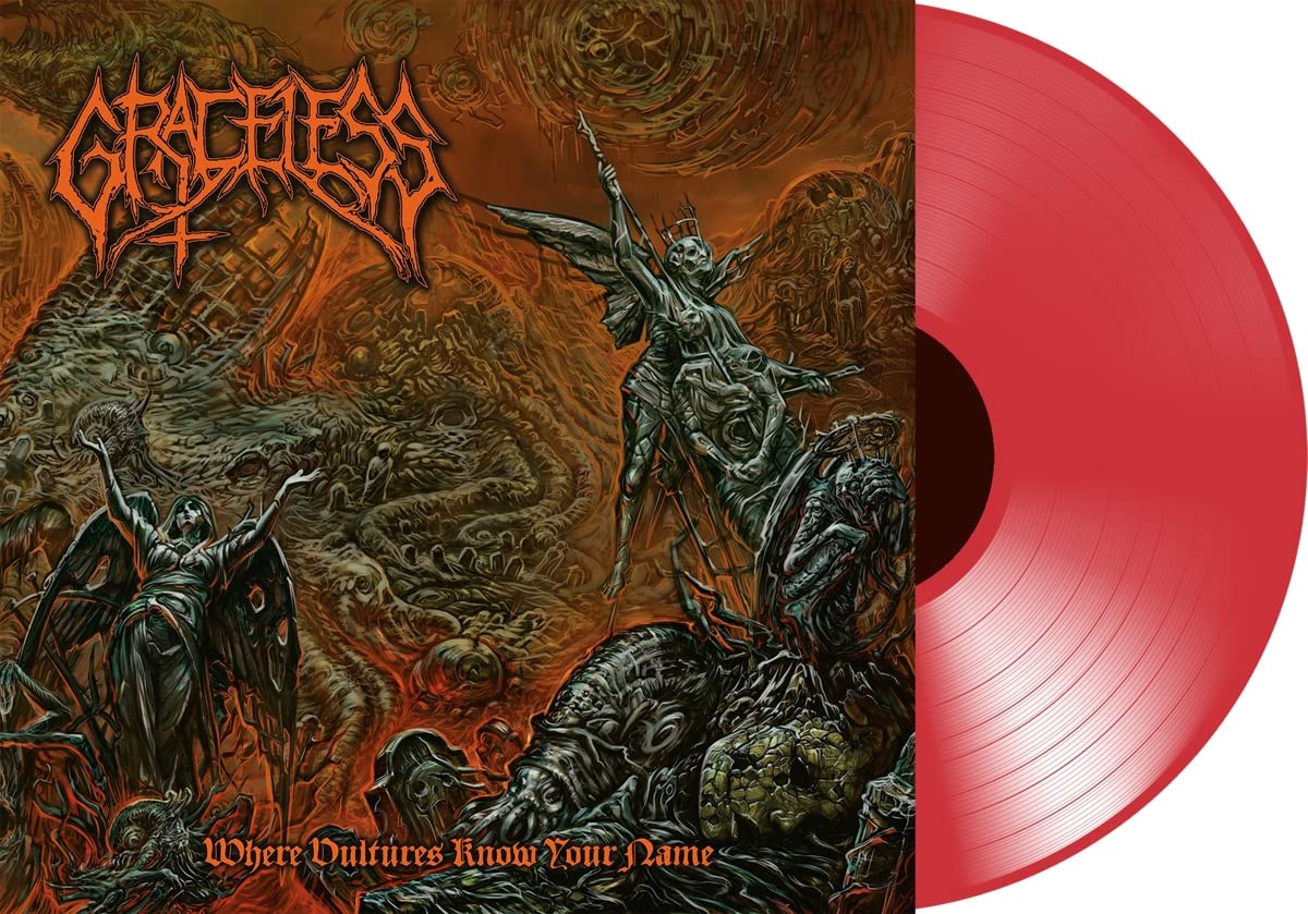 Where Vultures know your Name [VINYL]