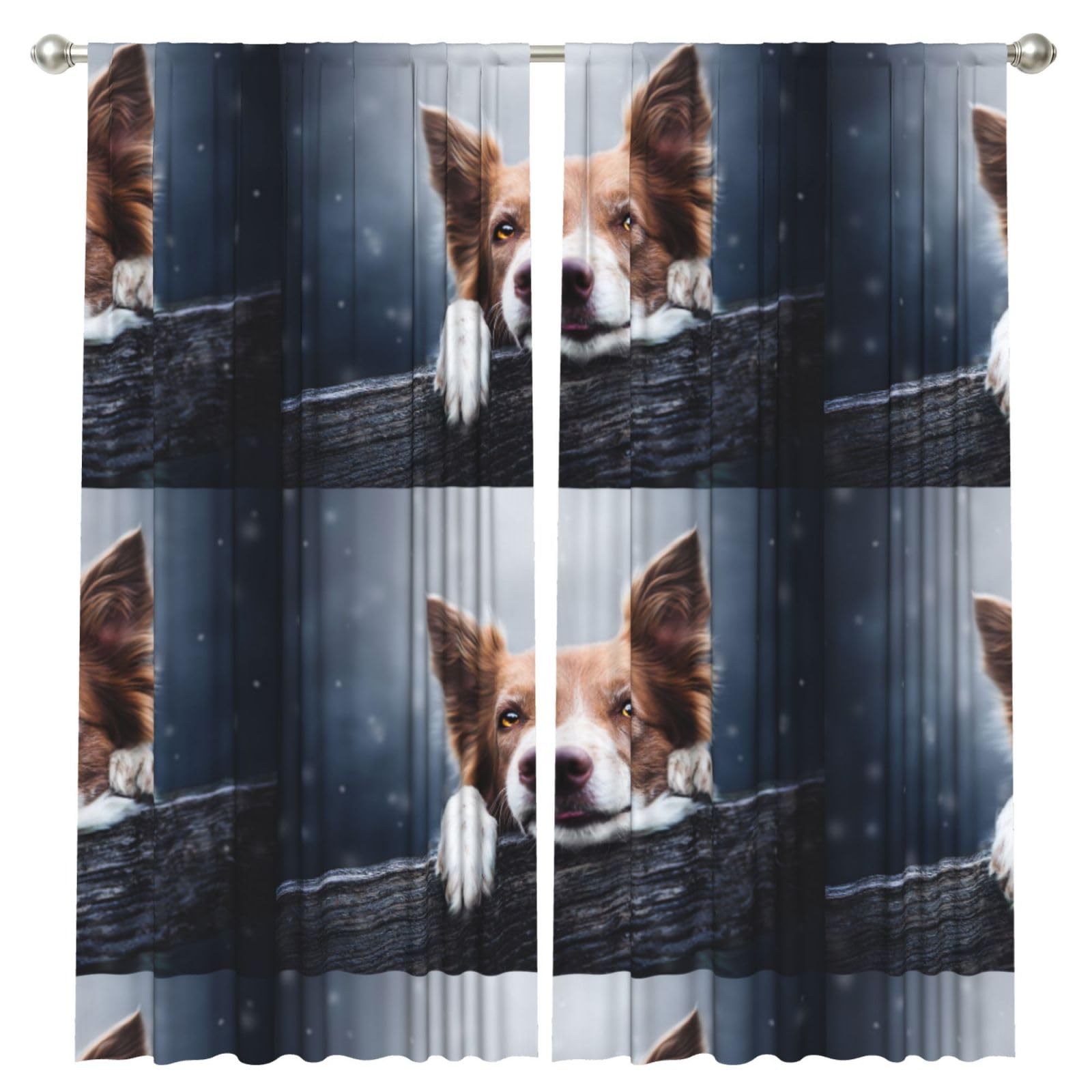 InOmak Brown Border Collie Bokeh God With Yellow Eyes, 2 Panels Window Curtains 52 x 84 Inch Blackout Curtains for Living Room Bedroom