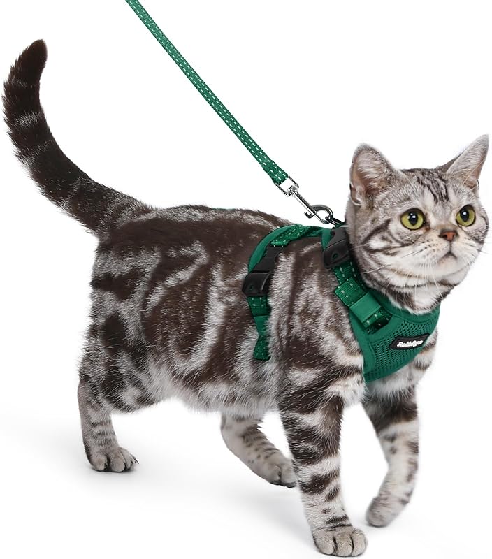 Peitoral para Gatos rabbitgoo com Guia, Ajustável e com Fivela no Pescoço, Verde-Escuro