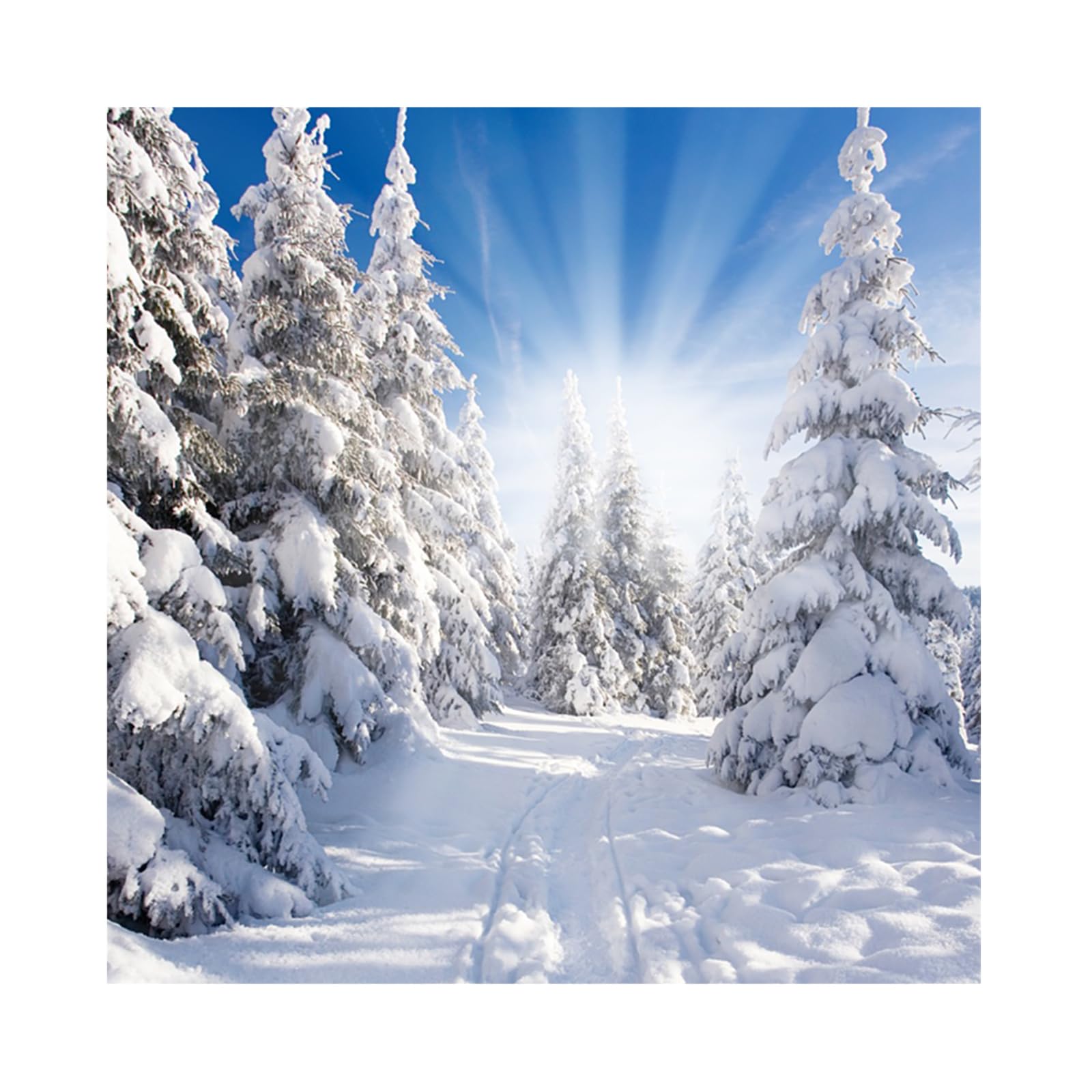 Leyiyi 6x4ft Winter Snow Forest Backdrop Christmas Pine Tree Snowflake Forest Photography Background Christmas Backdrops For Photography Outdoor Activities Holiday Party Decorations Photo Props - View #3