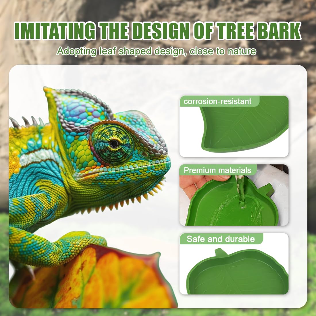 Terrarium Tortue Terrestre 2 Pièces Bols Eau Nourriture, Gamelles Reptiles Vert Forme Mangue Aile Taille Grand Petit