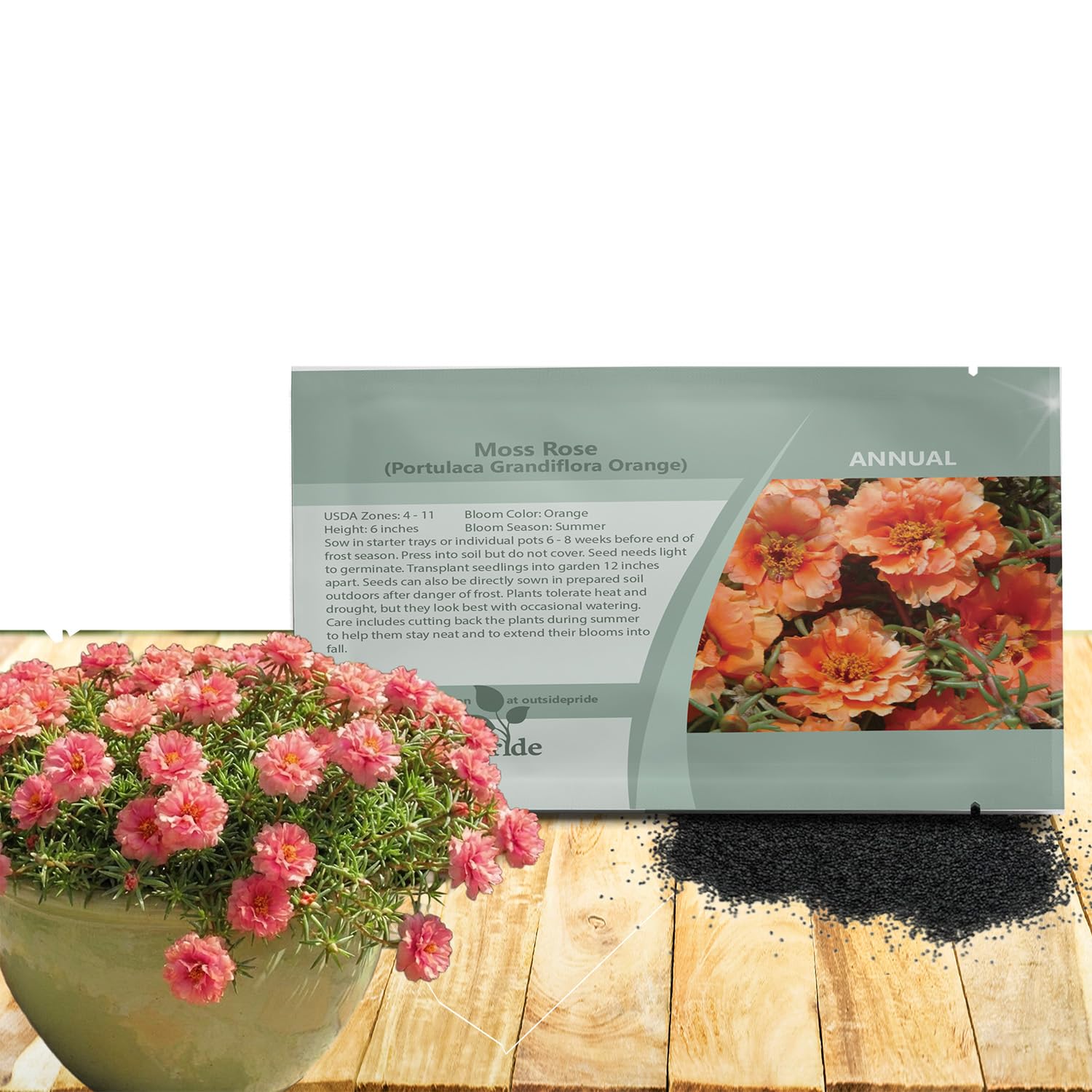 Amazon.com : Outsidepride Sundial Peach Portulaca Moss Rose Seeds