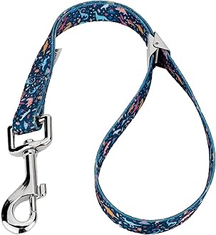 Country Brook Petz Dog & Pet 5/8 Inch Grooming Loop with Spring Loaded Clip - 18 Unique Designs for Grooming and Vet Tables (Dinosaurs)