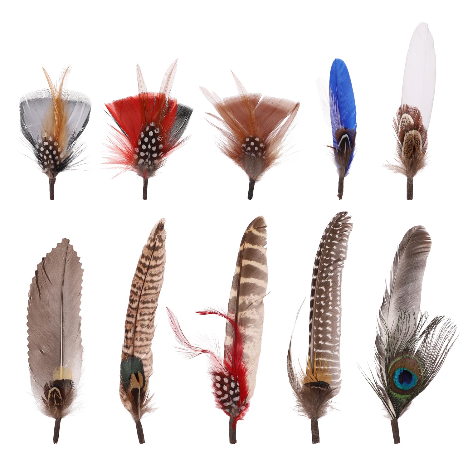 10pcs Hat Feathers, 10 Styles Craft Feathers for Hats Peacock Feathers Colorful Assorted Feathers for Fedora Cowboy Hat Feathers Accessories for Fedora Hats Craft Western Cowboy Oktoberfest Hat