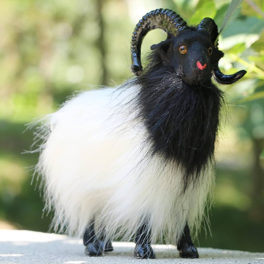 【貴重】山羊頭骨 黒角 貴重】山羊頭骨 黒角（羊の頭蓋骨の質感 925 スターリング