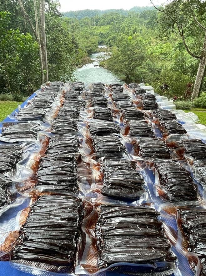 10 Vainas de Vainilla Guatemaltecas Grado A para Extracto Casero miniatura 9