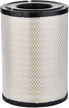 P533930 Engine Air Filter