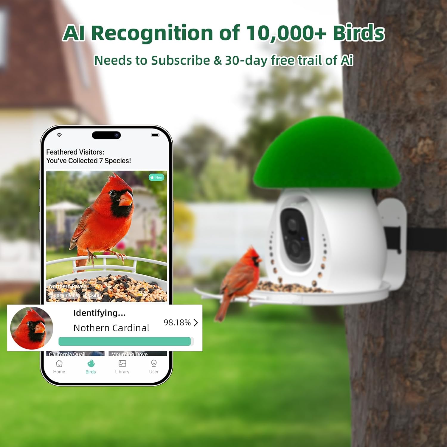 Smart Bird Feeder with Camera,Solar Powered Metal Bird Feeders for Outdoors,1.7L Large Capacity,Auto Capture & AI Identify,2K HD Live Video,Real-Time Notifications,Ideal Gifts for Bird Lovers